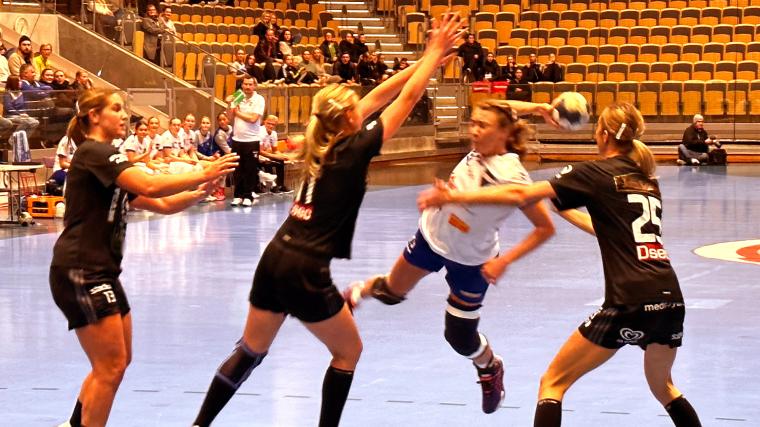Baltichov kämpade väl men mot Sävehofs farmarlag gick det inte vägen. S-Hof är nu på en andraplats och Baltichov femma i division 1 södra.