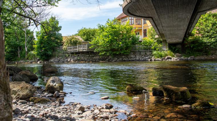 Vid kraftverket i Floda syns det låga vattenståndet i Säveån. Strandkant som annars är täckt av vatten ligger blottlagd.