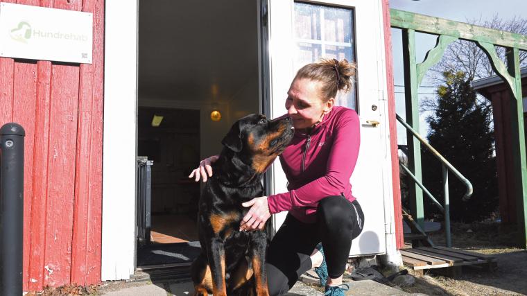 Anneli Virenhem är hundfysioterapeut, hundinstruktör och hundpsykolog. Hon har även en gedigen bakgrund inom friskvård och träning för människor.