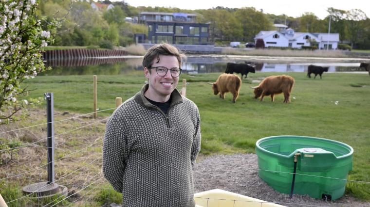 John Ringström, naturförvaltare på stadsmiljöförvaltningen, var med och hälsade korna välkomna i måndags.