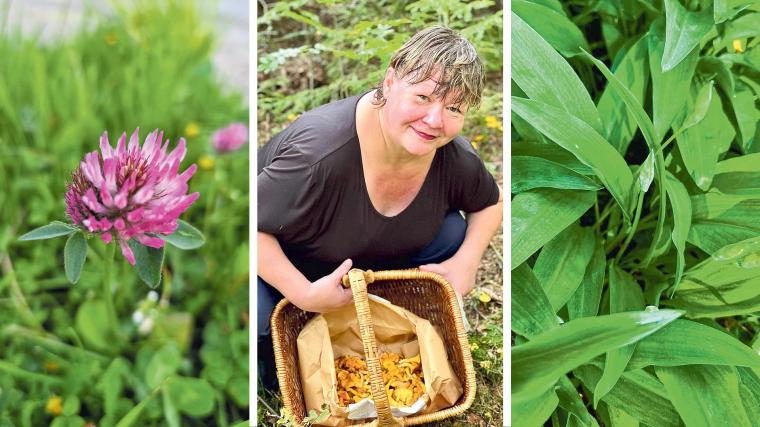 Rödklöver är en underskattad rackare. Läkeörten är känd för sina antiinflammatoriska egenskaper och ökar kroppens avgiftningsförmåga. Färska blommor och småskurna blad kan användas i sallader. Malin Mobrandt, svampkonsulent på Svensk Gourmetsvamp, tipsar om gröna delikatesser du kan hitta lite överallt i naturen. Ramslök kallas ibland för ”skogens vitlök” och är en favorit för många.