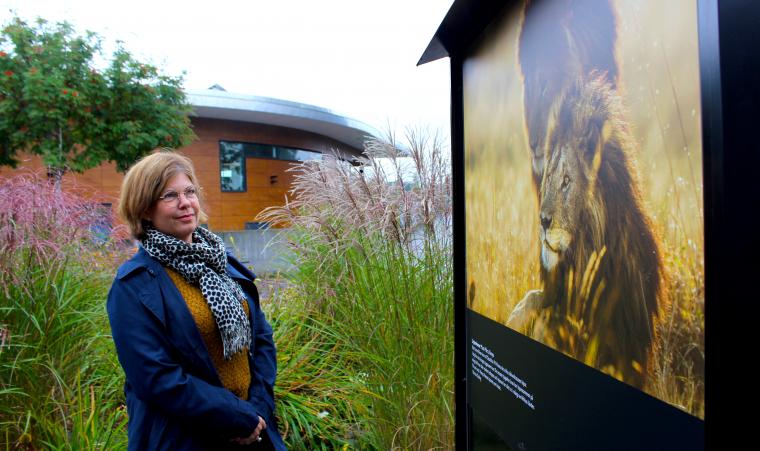 <span>Anna Nordin Bramsved, kultursamordnare på Landvetters kulturhus, är nöjd över att ännu en framstående fotograf ställer ut sina verk på Guldsmedsplatsen. ”Brutus &Ouml;stling är en av de skickligaste djur-, natur- och fågelfotograferna i världen”, säger hon.</span>