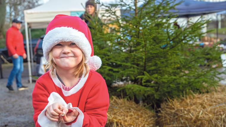 Julkänsla på Dahlbogården