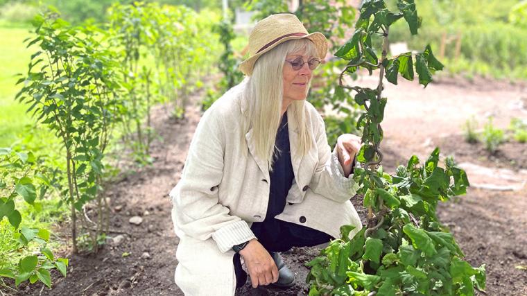 Skådespelaren Ulla Skoog är född i Puketorp och växte sedan upp i Lerum. Nu återvänder hon till rötterna för att bli årets gästkreatör på Jonsereds Trädgårdar. 12 juni är det invigning av hennes trädgård \