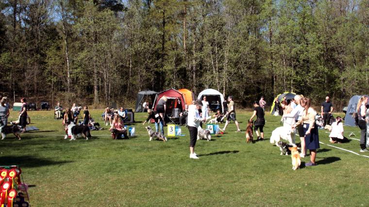 Runt 200 hundar hade kommit till Lerums Brukshundklubb under helgens inofficiella tävling.
