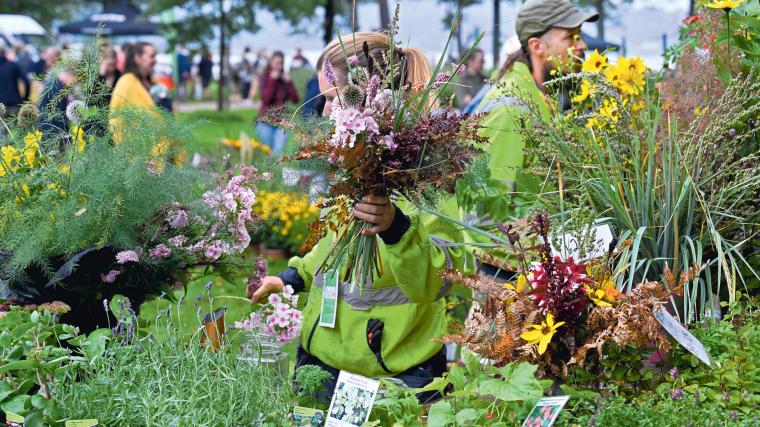Cirka 1 500 personer besökte årets perennfest för att fynda växter, lyssna på trädgårdsföredrag och umgås.